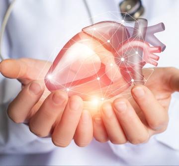 أمراض القلب والأوعية الدموية